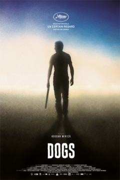 Poster Dogs
