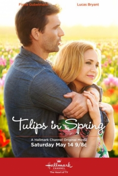 Poster Tulipanes en Primavera