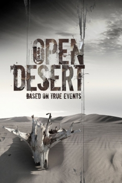 Poster Bajo el sol del desierto