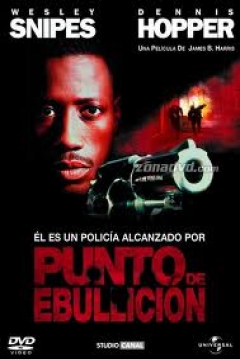 Boiling Point (Punto de Ebullición) — póster