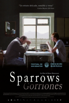 Poster Sparrows (Gorriones)
