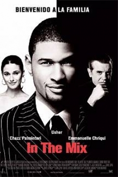 Poster In the Mix