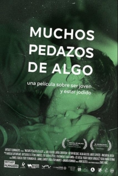 Poster Muchos Pedazos de Algo