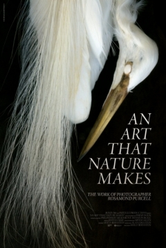 Poster An Art That Nature Makes: The Work Of Rosamond Purcell