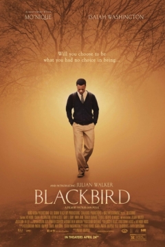 Poster Blackbird