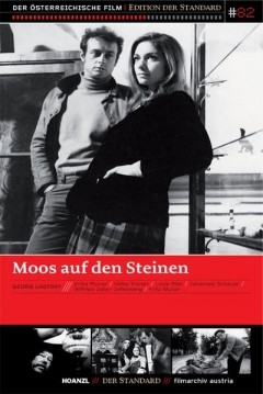 Poster Moss on the Stones