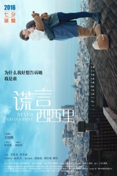 Poster Never Said Goodbye