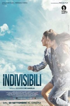 Poster Indivisible