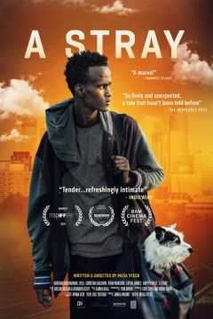 Poster A Stray