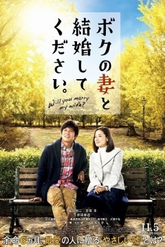 Poster Please Get Married with My Wife