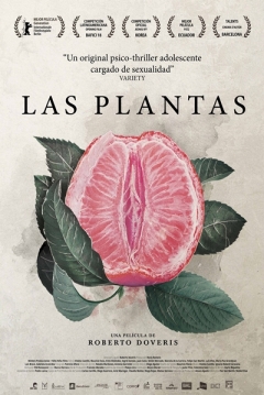 Poster Las Plantas