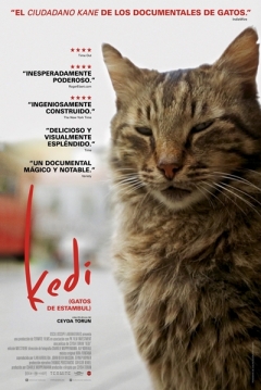 Poster Kedi: Gatos de Estambul