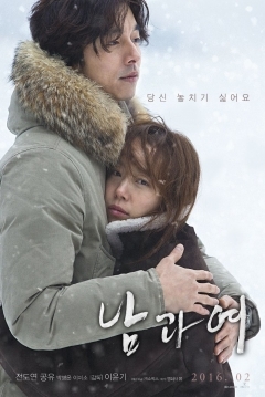 Poster A Man and A Woman