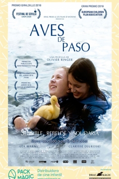 Poster Aves de Paso