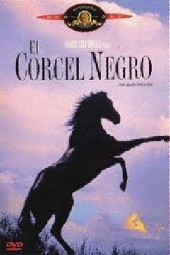 Poster El Corcel Negro