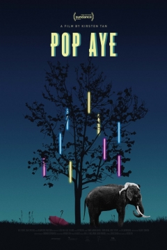 Poster Pop Aye