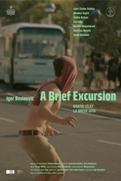 Poster A Brief Excursion