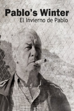 Poster El Invierno de Pablo