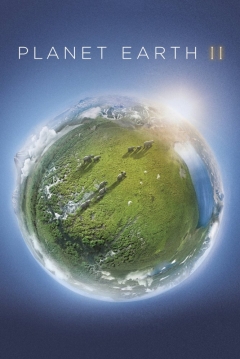 Poster Planeta Tierra 2