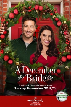 Poster Una Boda en Diciembre