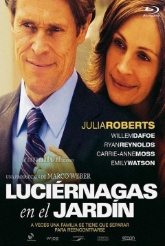Ficha Luciérnagas en el Jardín