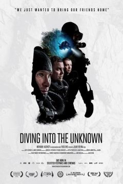 Poster Diving Into the Unknown