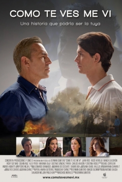 Poster Como Te Ves, Me Vi