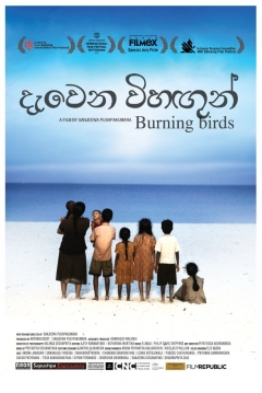 Poster Burning Birds