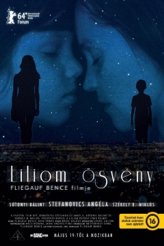 Poster Lily Lane