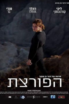 Poster The Burglar