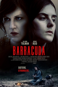 Poster Barracuda