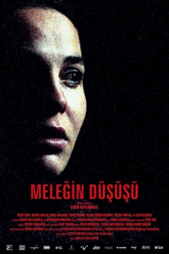 Poster Angel's Fall