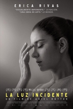 Poster La Luz Incidente