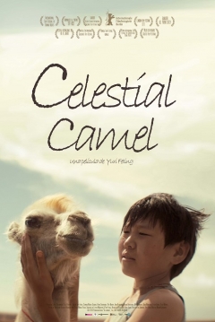 Poster Celestial Camel