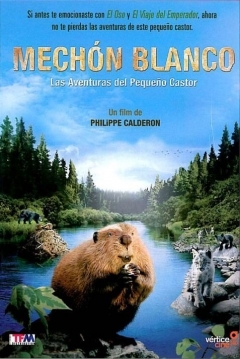Poster Mechon Blanco, las Aventuras del Pequeño Castor