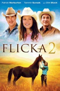 Poster Flicka 2