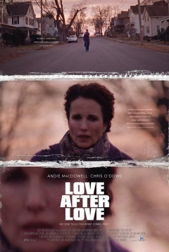 Ficha Love After Love