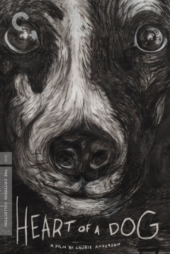 Poster Heart Of A Dog