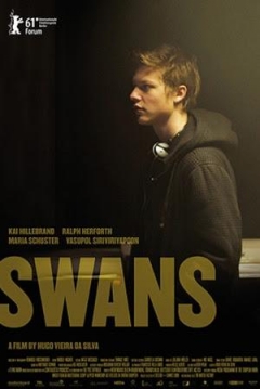 Poster Swans