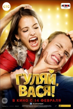 Poster Have Fun, Vasya!