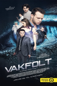 Poster Blindspot