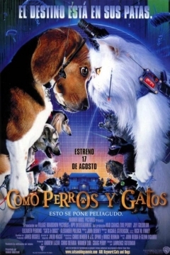 Ficha Como Perros y Gatos
