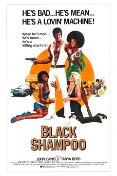 Poster Black Shampoo