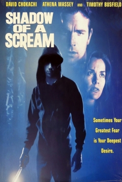 Poster Acoso Criminal