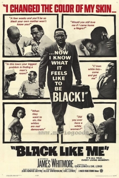 Poster Black Like Me