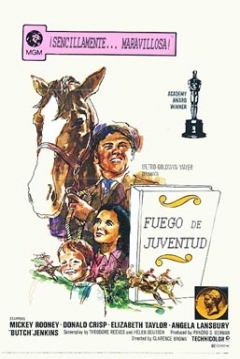 Poster Fuego de Juventud