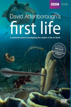 Poster First Life