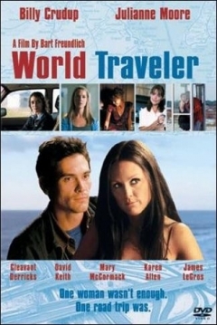 Poster World Traveler