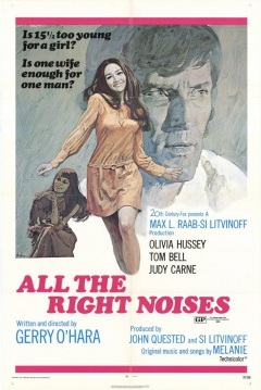 Poster All The Right Noises