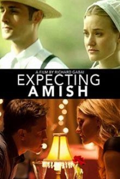 Poster La Decisión Amish